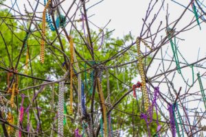 fairhope daphne mardi gras beads in tree